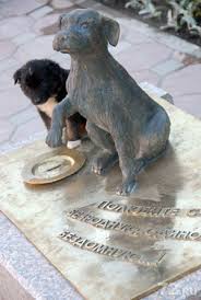 Достопримечательности Тюмени: памятник бедомной собаке в Тюмени